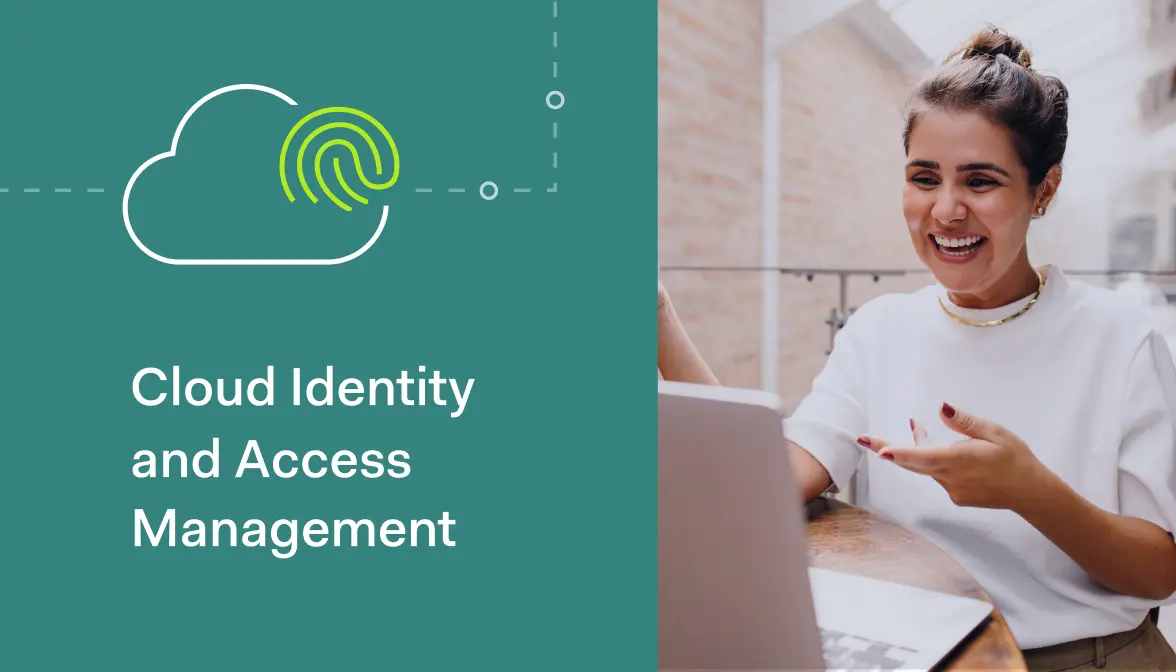 Why do businesses need IAM in cloud security?